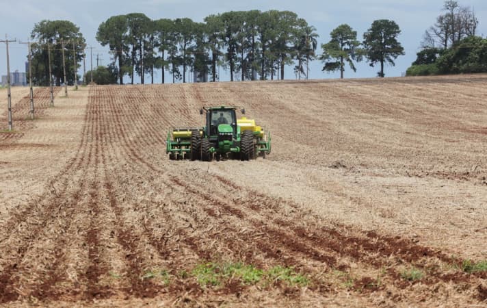 Safra de grãos 2024/25 no Brasil deve alcançar 339 milhões de toneladas